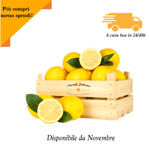 limoni cassetta 10 kg Agrumi Tallarico limoni di Calabria freschi e profumati fetta di limone succosa
