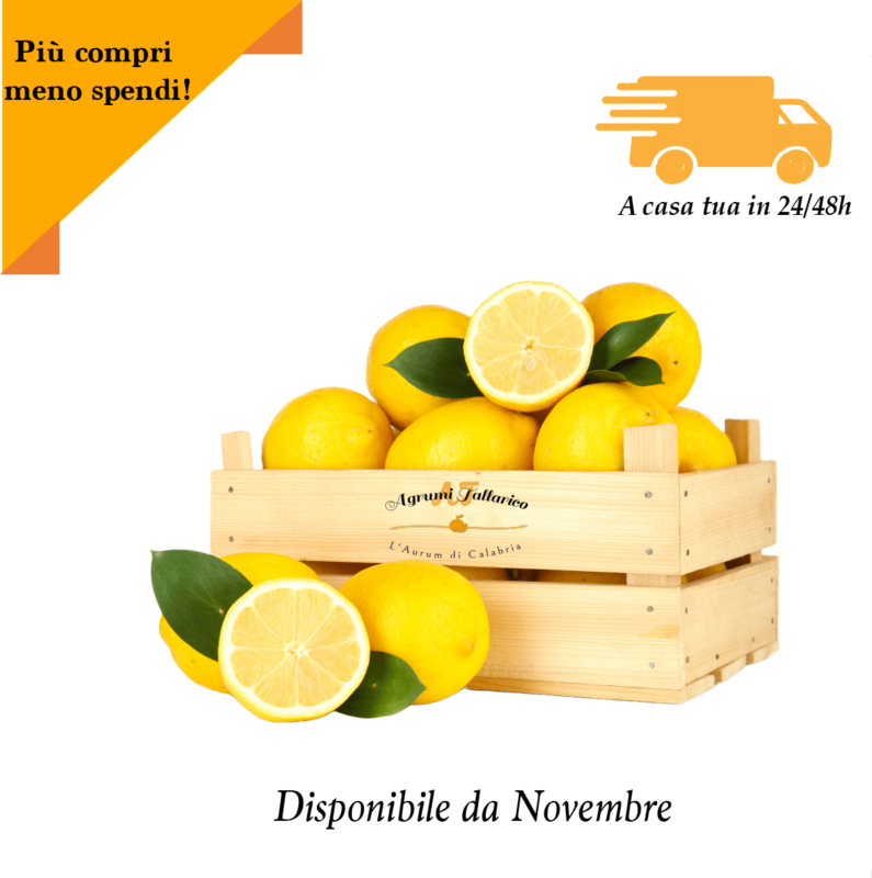 limoni cassetta 10 kg Agrumi Tallarico limoni di Calabria freschi e profumati fetta di limone succosa