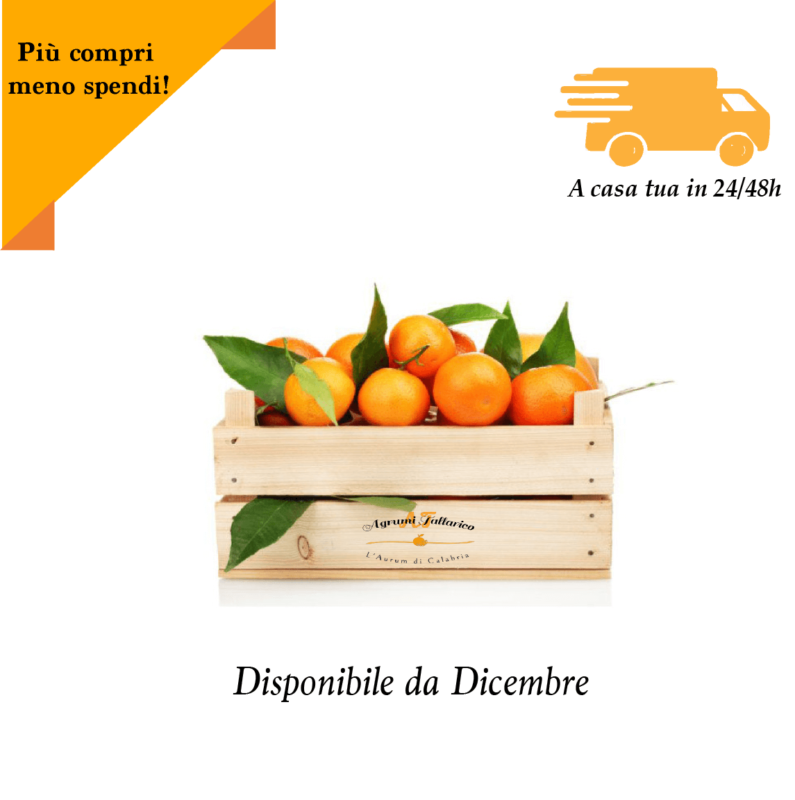 arance tarocco di Calabria Agrumi Tallarico cassetta 10 kg arance tarocco spicchi e polpa rossa di arance tarocco